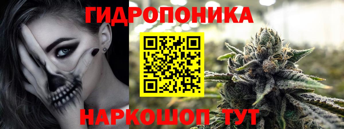 Конопля White Widow Димитровград